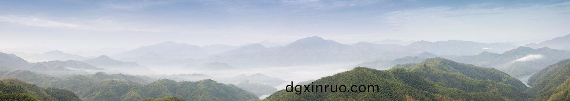 _企(qi)業榮(rong)譽(yu)_關(guan)于我們(men)_深圳市(shi)三綠(lv)園(yuan)林實(shi)業有(you)限公(gong)司