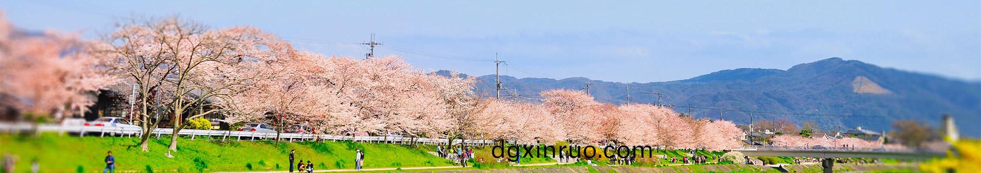 深(shen)圳(zhen)市(shi)曏(xiang)西(xi)雝睦(mu)豪(hao)庭環(huan)境景(jing)觀工(gong)程(cheng)初(chu)步設(she)計方(fang)案(an)_設計案例_工(gong)程案(an)例_深(shen)圳市(shi)三(san)綠(lv)園(yuan)林實業(ye)有限(xian)公(gong)司